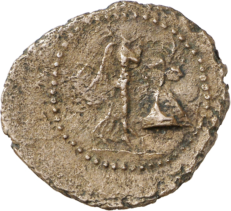 reverse CN Type cn.perinthus.1_ed.43