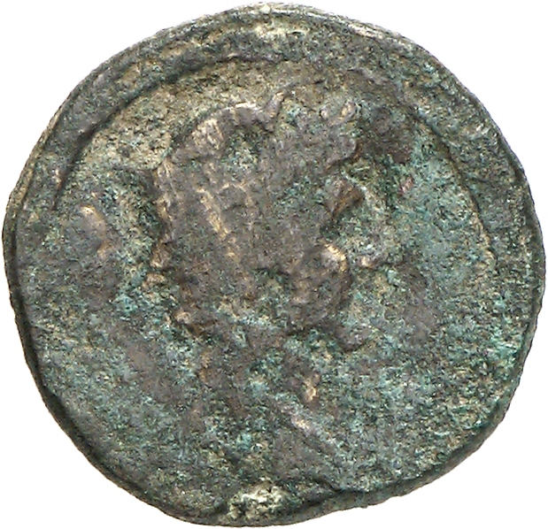 CN Type cn.perinthus.1_ed.74, аверс, cn-coins