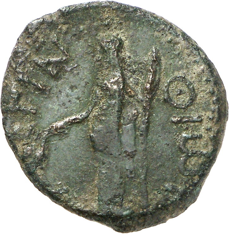 реверс CN Type cn.perinthus.1_ed.157