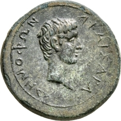 coin rev