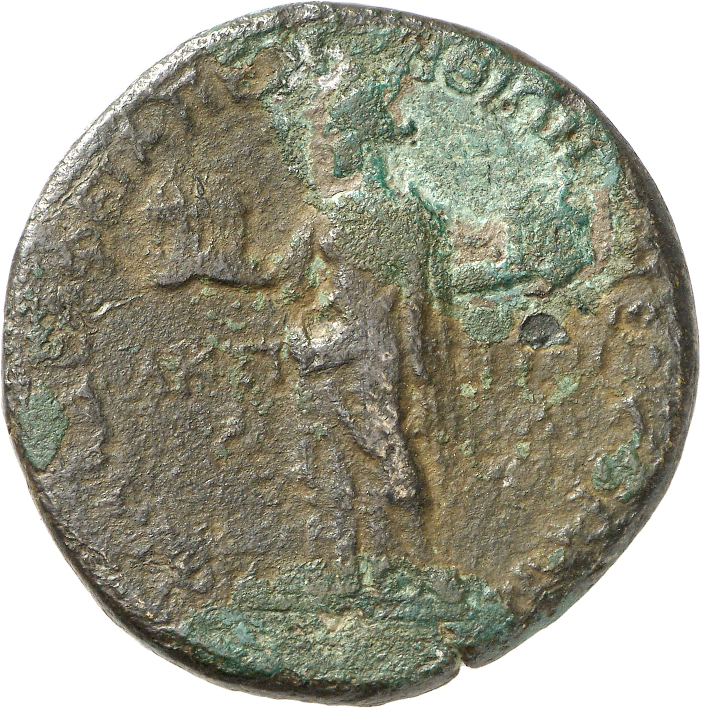 reverse CN Type cn.perinthus.1_ed.204