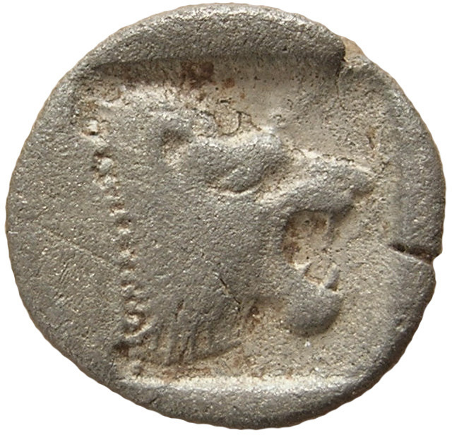 coin rev