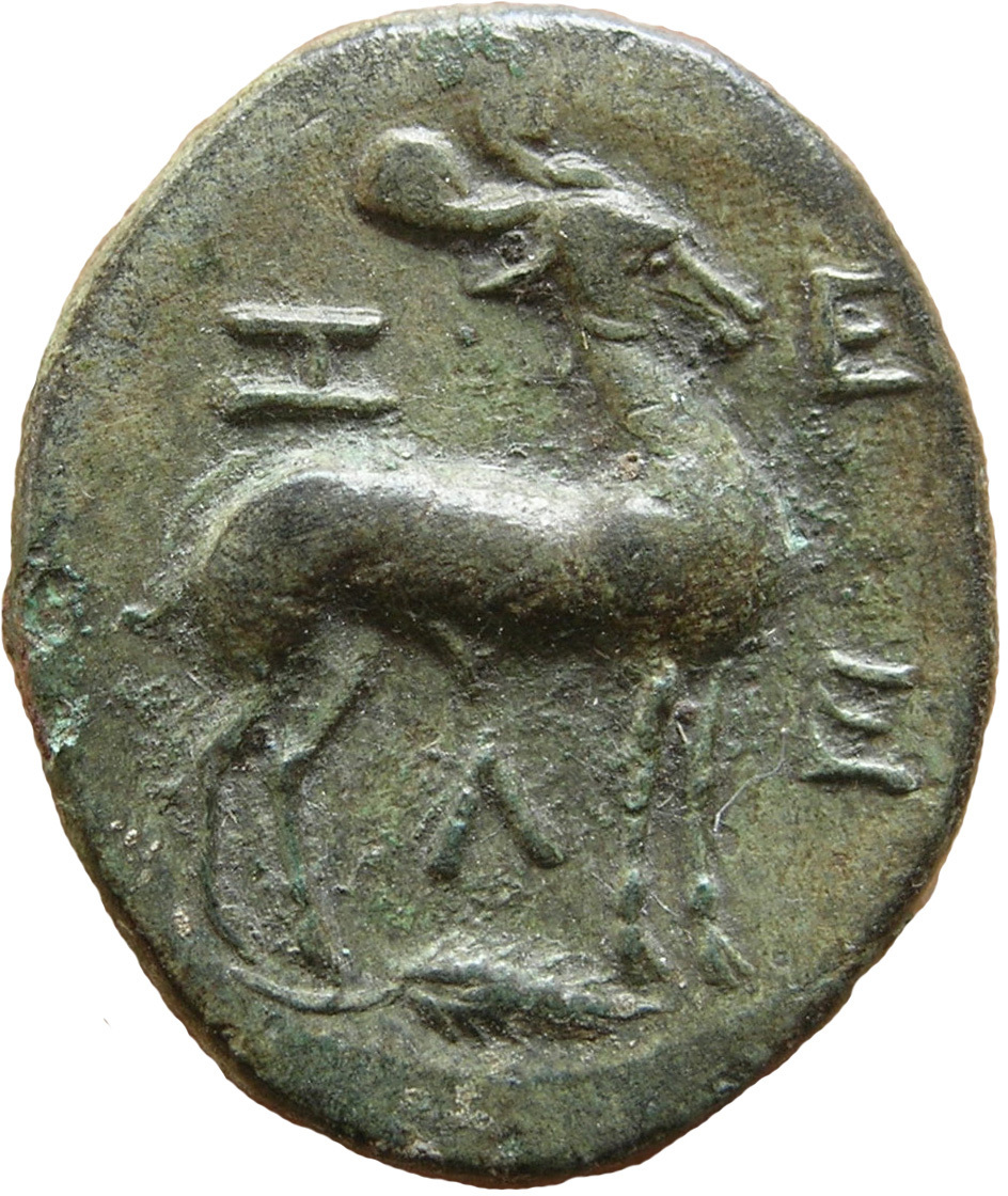 CN Type 4921, реверс, cn-coins
