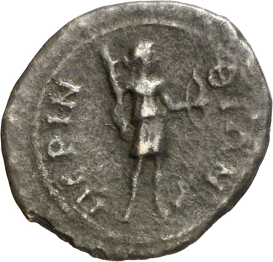reverse CN Type cn.perinthus.1_ed.243