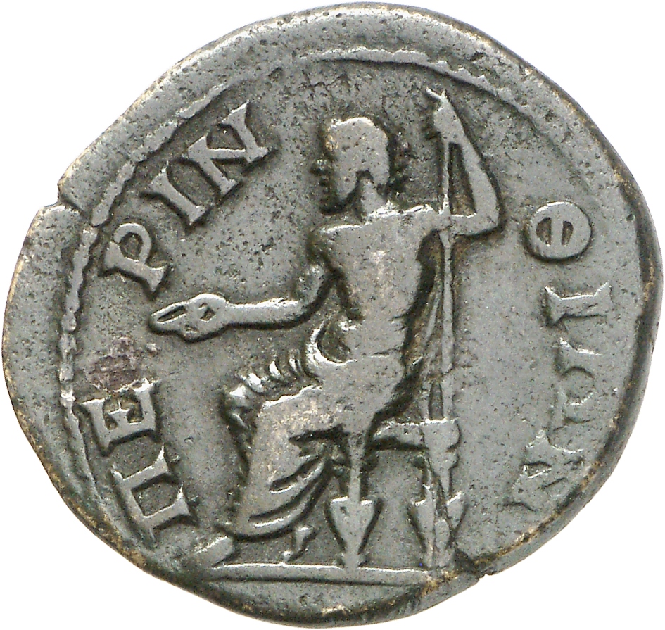 reverse CN Type cn.perinthus.1_ed.242