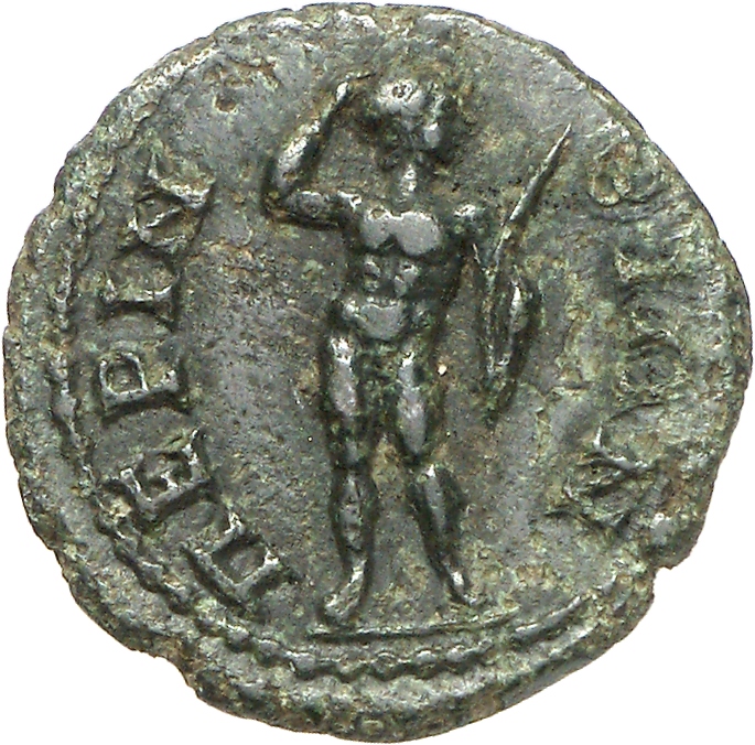 reverse CN Type cn.perinthus.1_ed.254