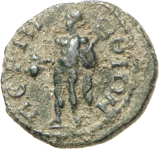 reverse CN Type cn.perinthus.1_ed.257