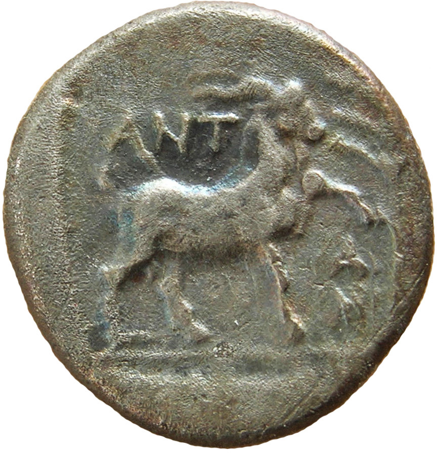 CN Type 4246, реверс, cn-coins