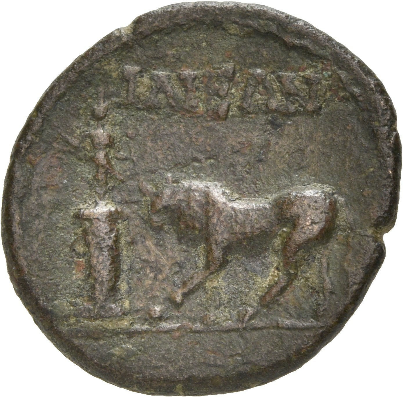 coin rev