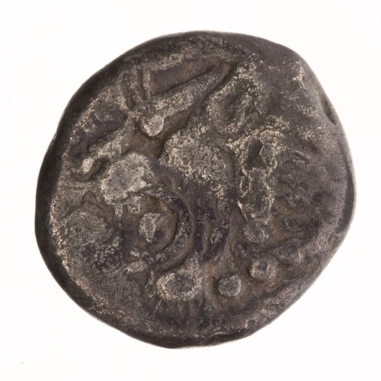 аверс CN Type cn.chersonesus_thrace.1_ed.3