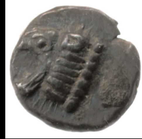 аверс CN Type cn.chersonesus_thrace.1_ed.4