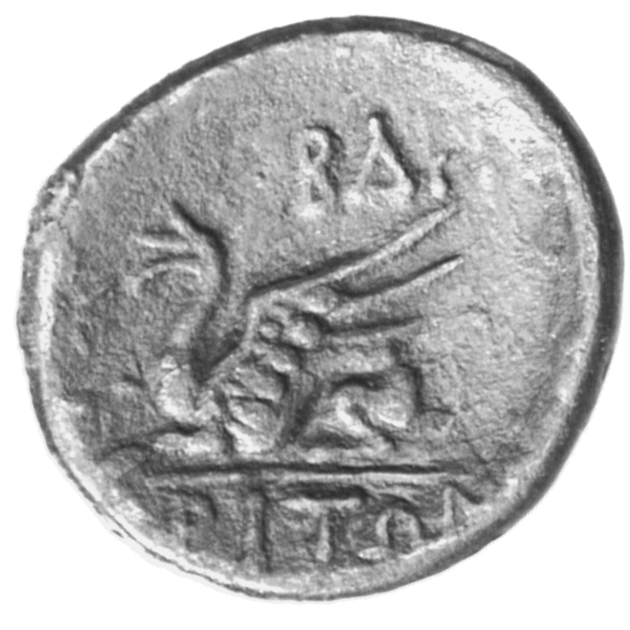 CN Type cn.abdera_thrace.1_ed.330, реверс, cn-coins
