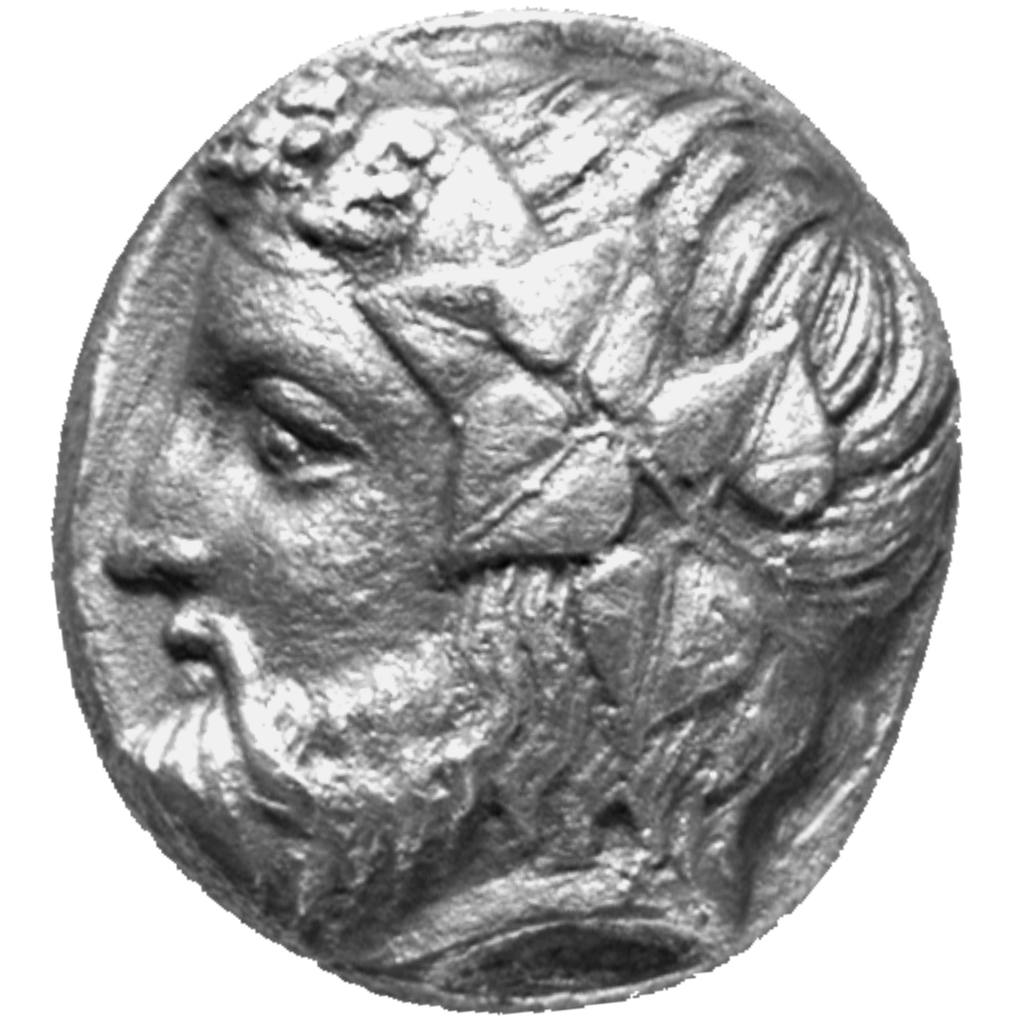 CN Type cn.thasos.1_ed.47, аверс, cn-coins