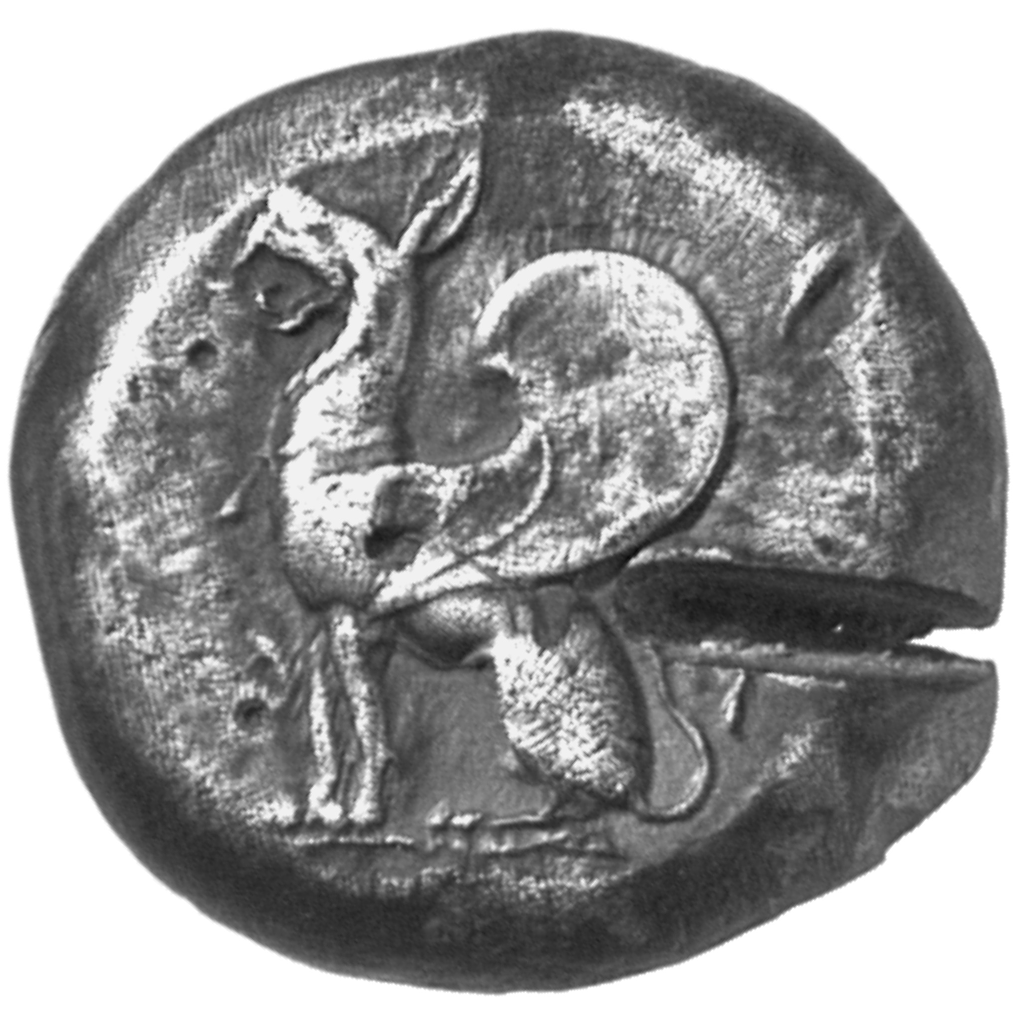 CN Type cn.abdera_thrace.1_ed.12, аверс, cn-coins