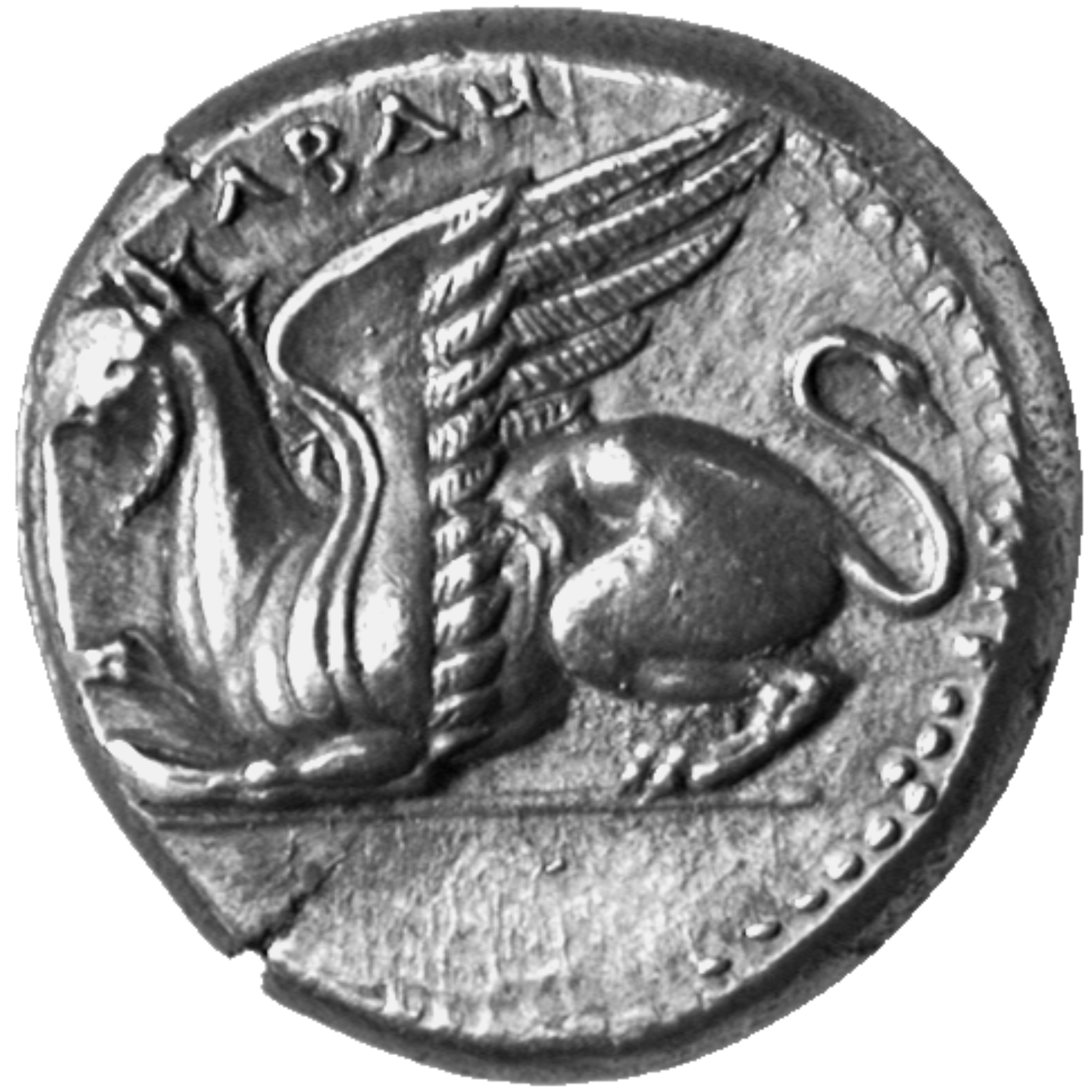 CN Type cn.abdera_thrace.1_ed.194, аверс, cn-coins