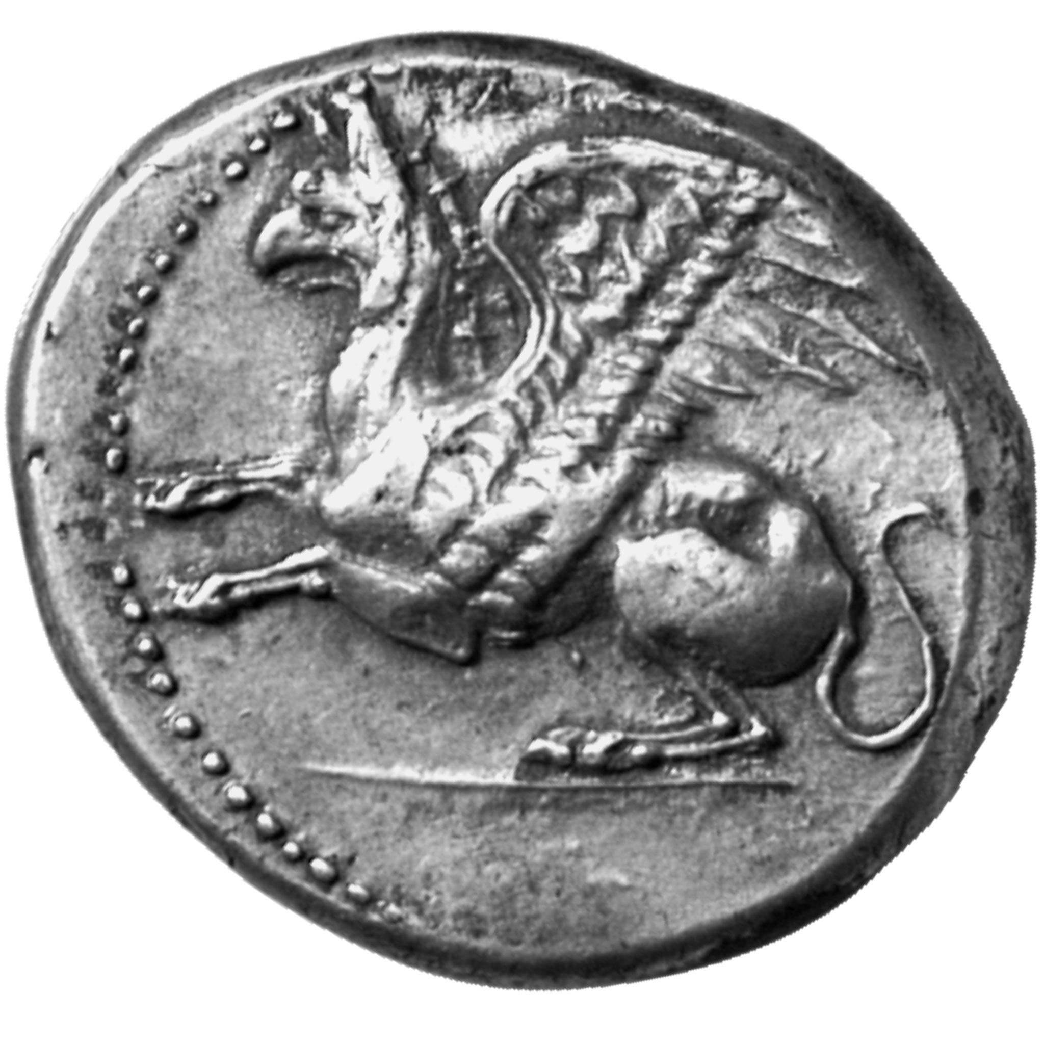 CN Type cn.abdera_thrace.1_ed.193, аверс, cn-coins