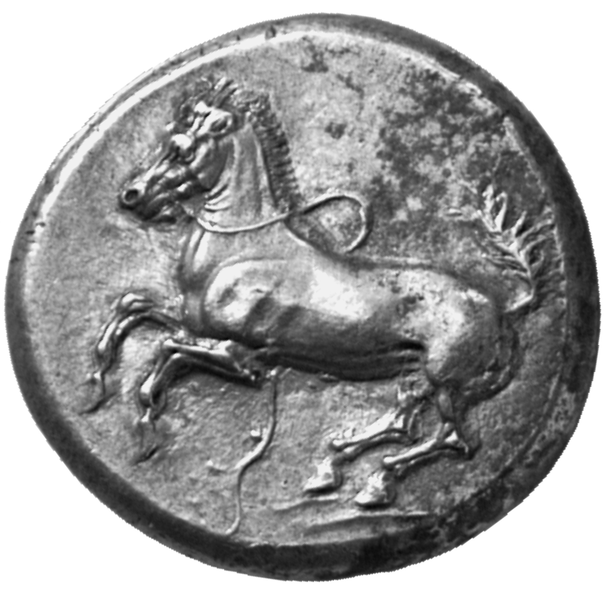 CN Type cn.maroneia.1_ed.143, аверс, cn-coins
