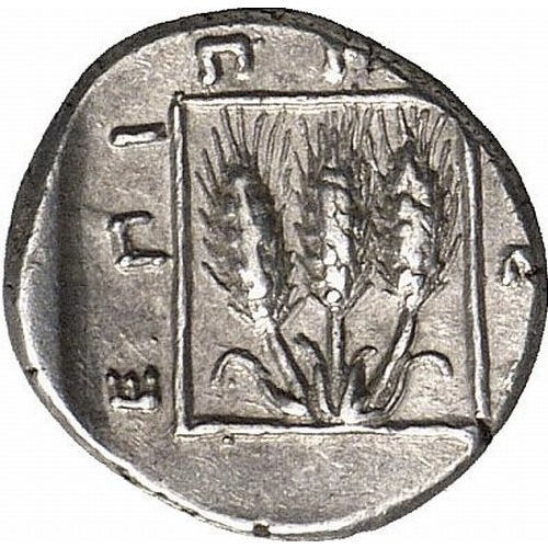 CN Type cn.abdera_thrace.1_ed.169, реверс, cn-coins