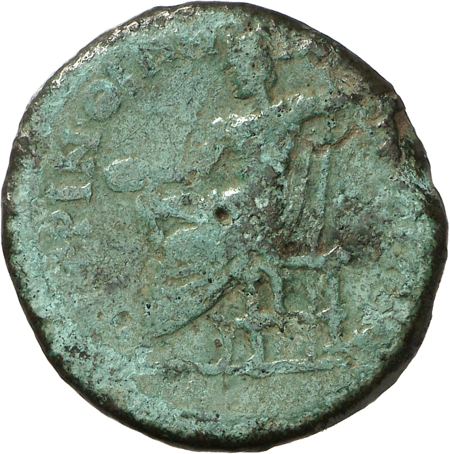 reverse CN Type cn.perinthus.1_ed.276