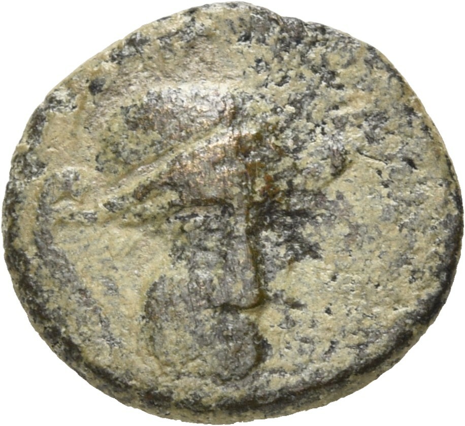 obverse CN Type 20484