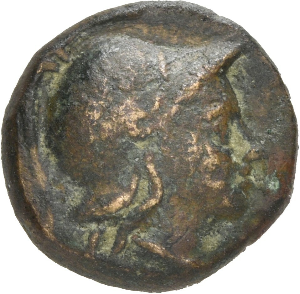 obverse CN Type 20481