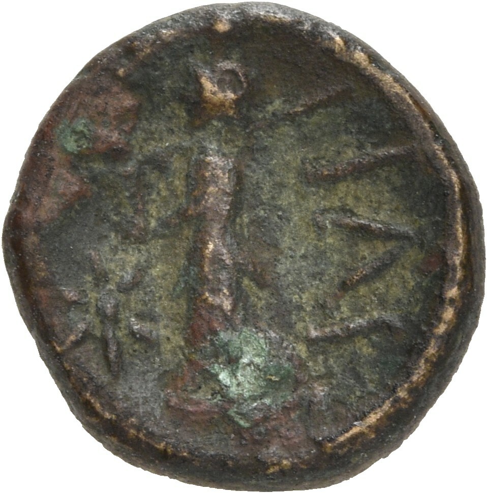 reverse CN Type 20481