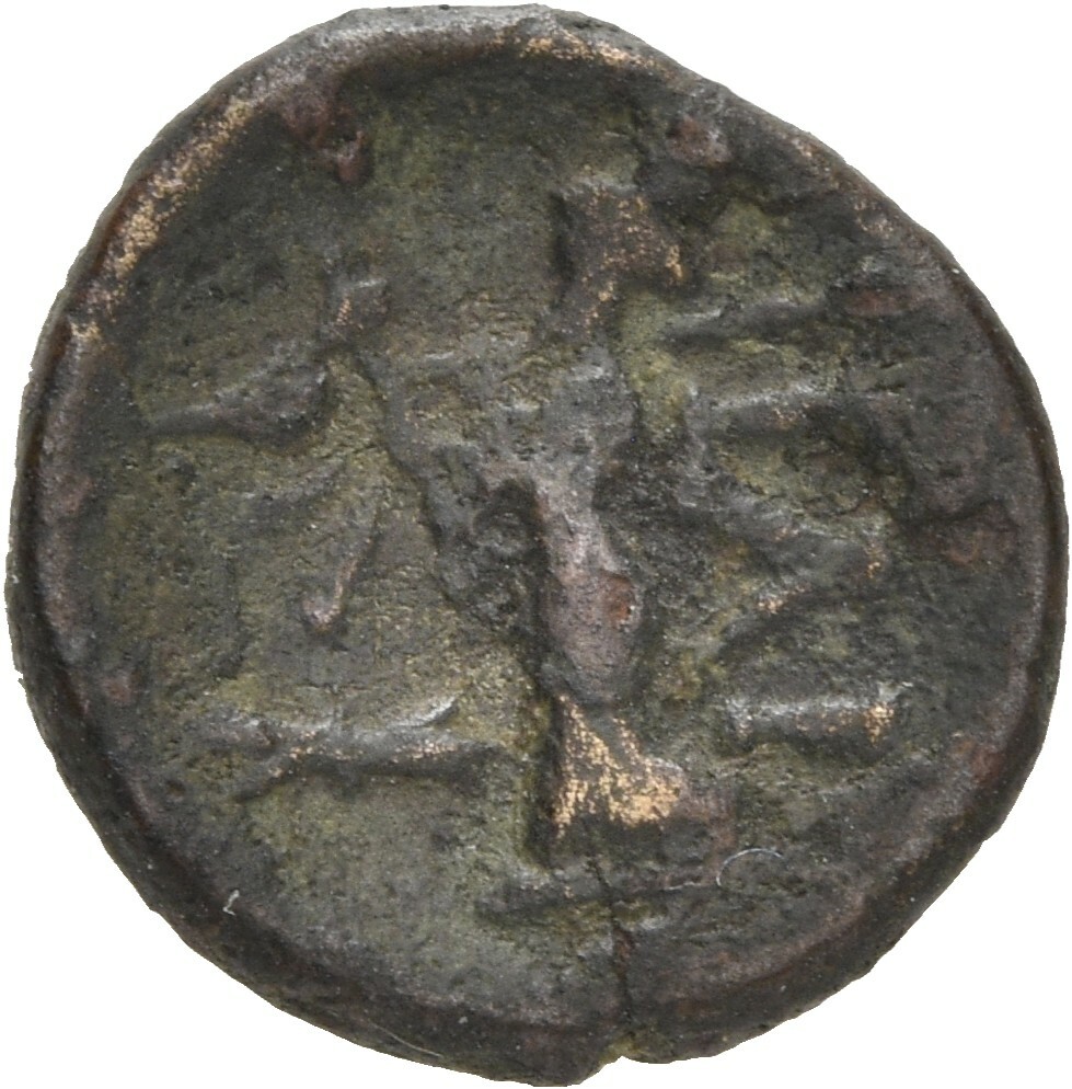 reverse CN Type 20490