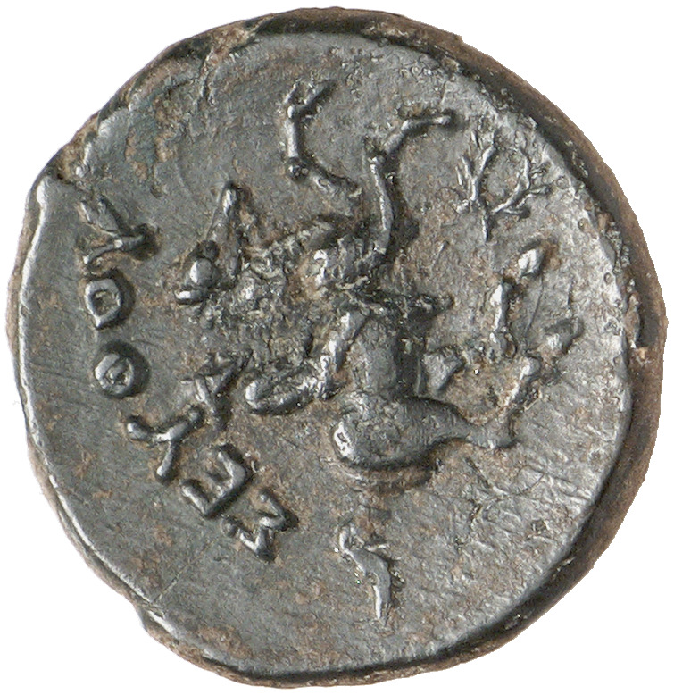 CN Type cn.seuthes_iii_odrysian_thrace.1_ed.1, реверс, cn-coins