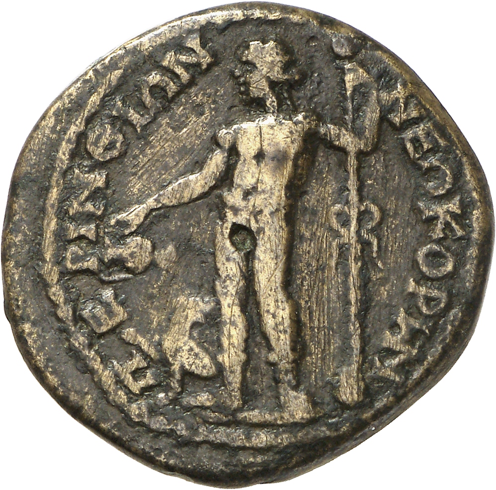reverse CN Type cn.perinthus.1_ed.323