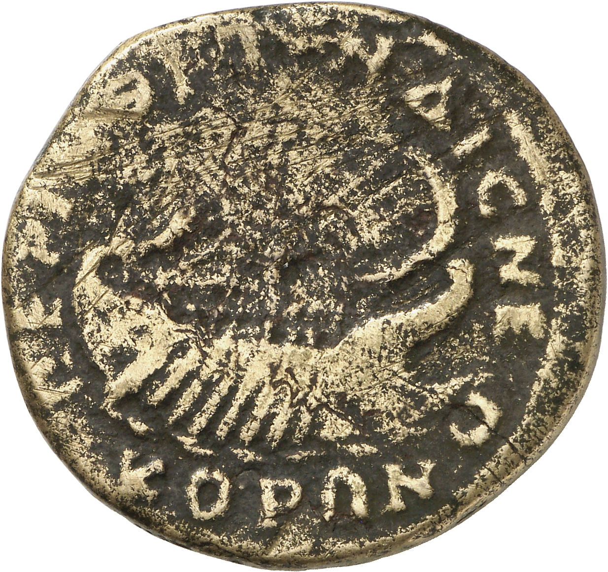 reverse CN Type cn.perinthus.1_ed.371