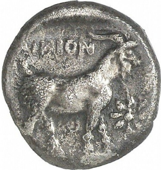 coin rev