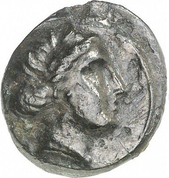 obverse CN Type cn.cardia.2_ed.23