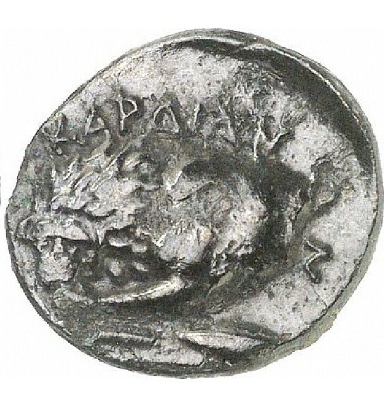 reverse CN Type cn.cardia.2_ed.23