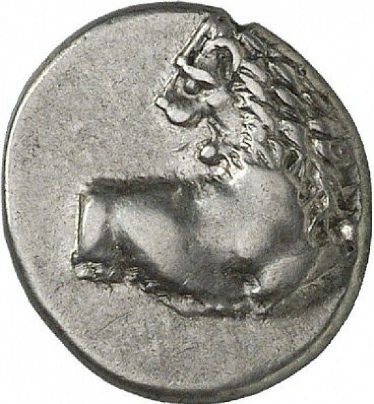 CN Type cn.chersonesus_thrace.1_ed.25, аверс, cn-coins