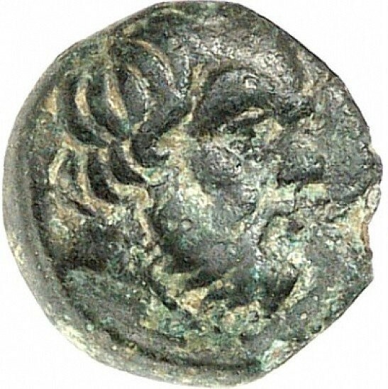 CN Type cn.bergaeus_thrace.1_ed.5, аверс, cn-coins