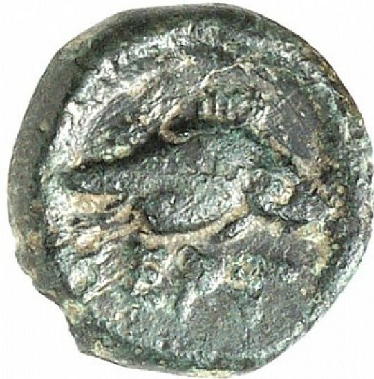 CN Type cn.bergaeus_thrace.1_ed.5, реверс, cn-coins