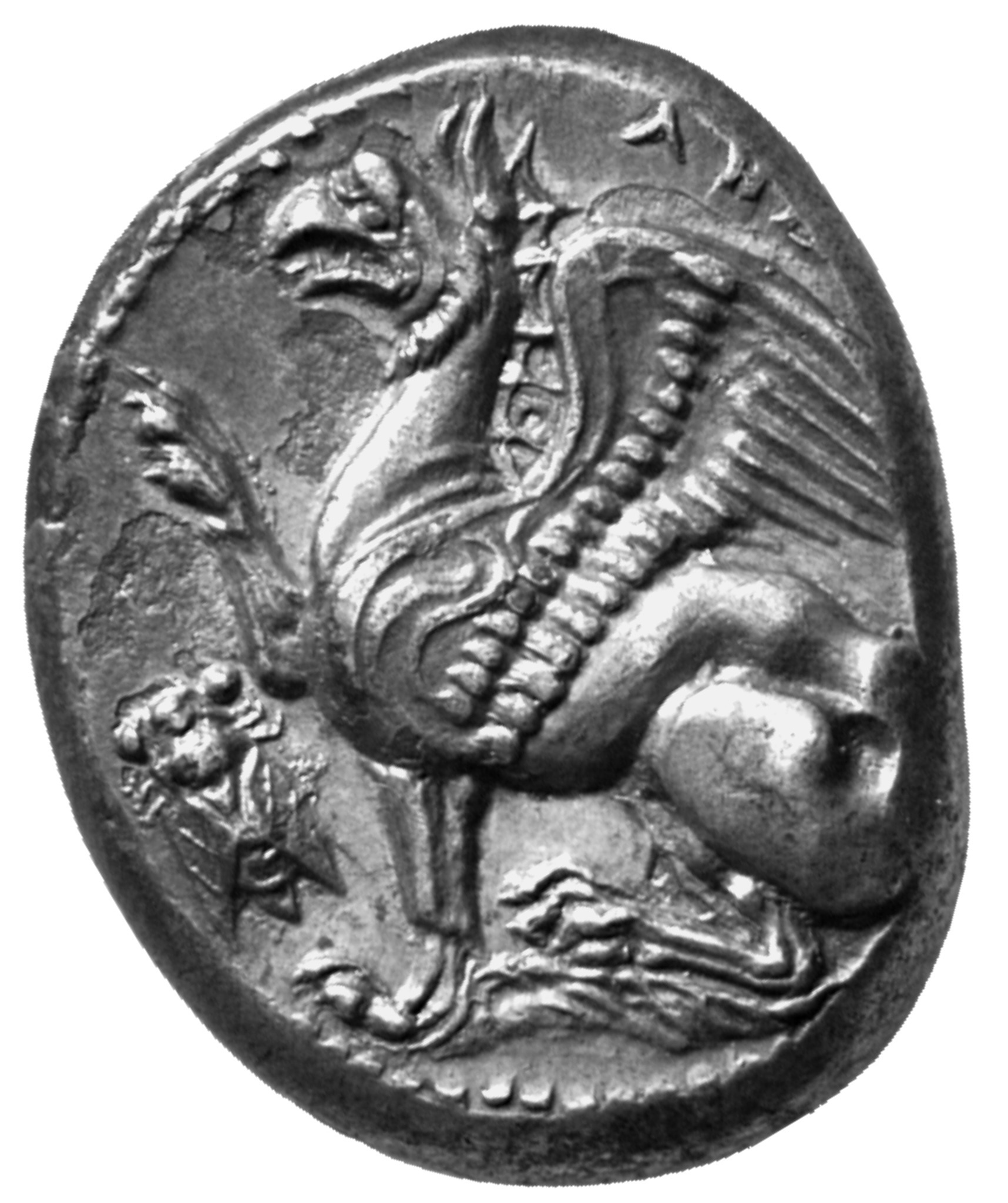 CN Type cn.abdera_thrace.1_ed.153, аверс, cn-coins
