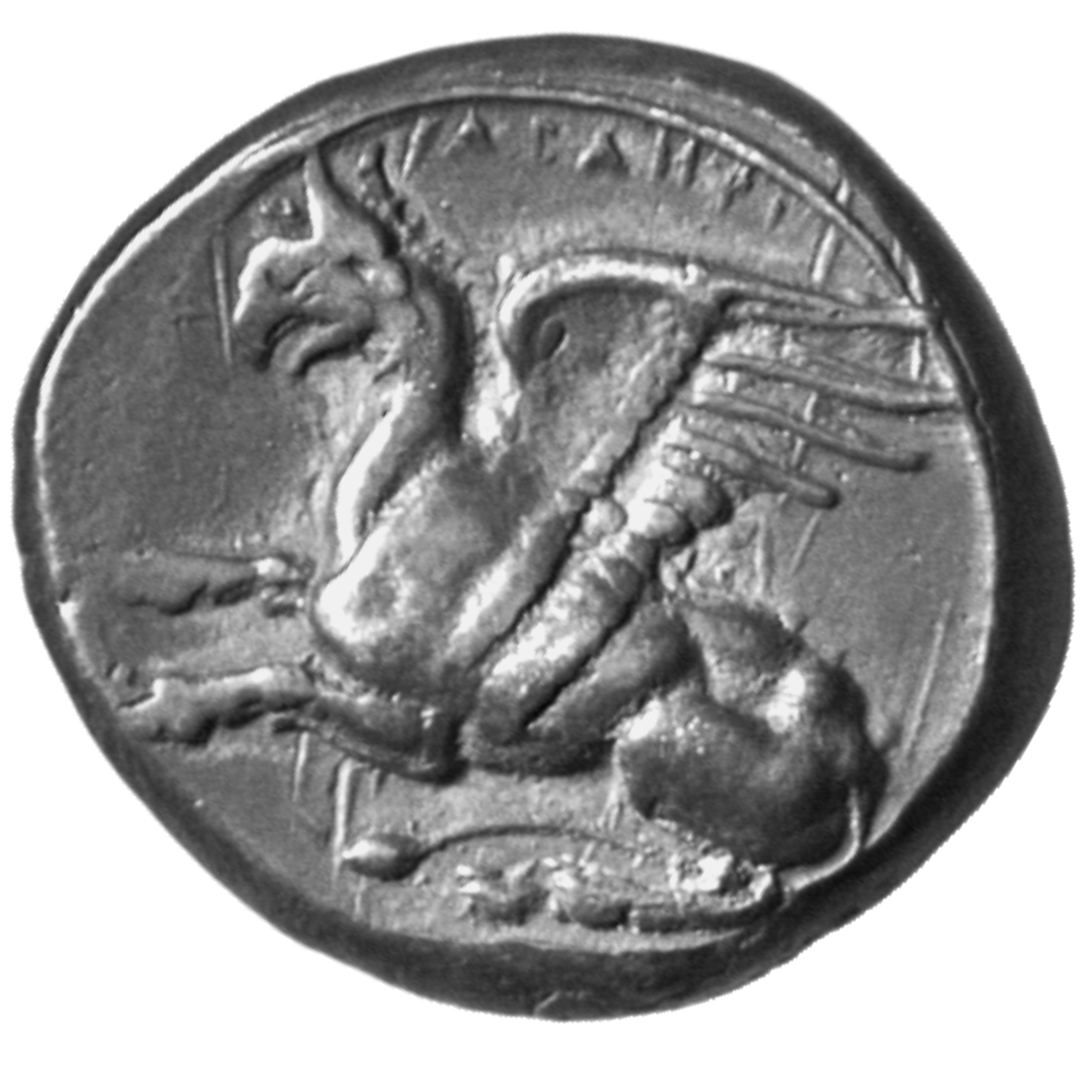 CN Type cn.abdera_thrace.1_ed.157, аверс, cn-coins