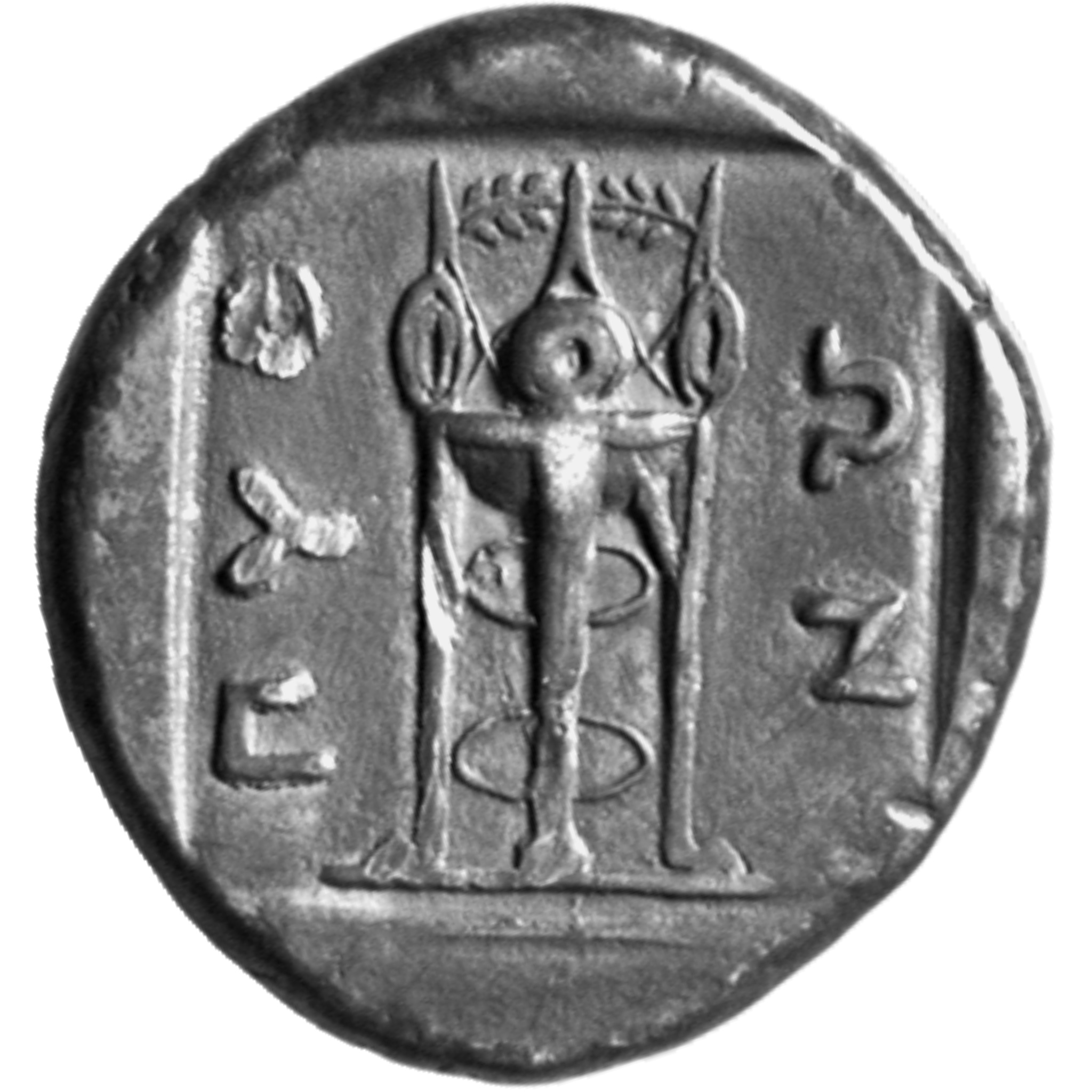 CN Type cn.abdera_thrace.1_ed.157, реверс, cn-coins