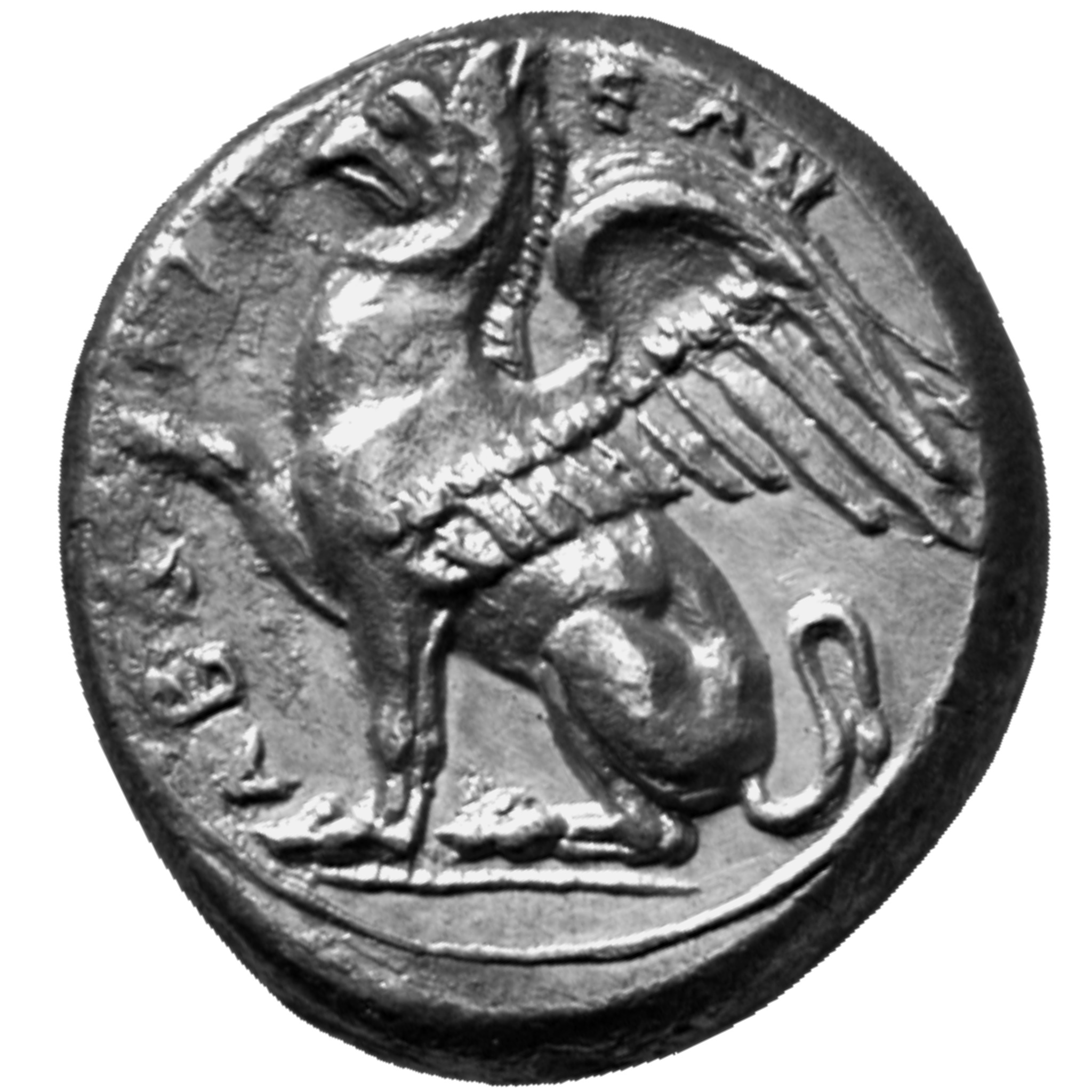 CN Type cn.abdera_thrace.1_ed.159, аверс, cn-coins