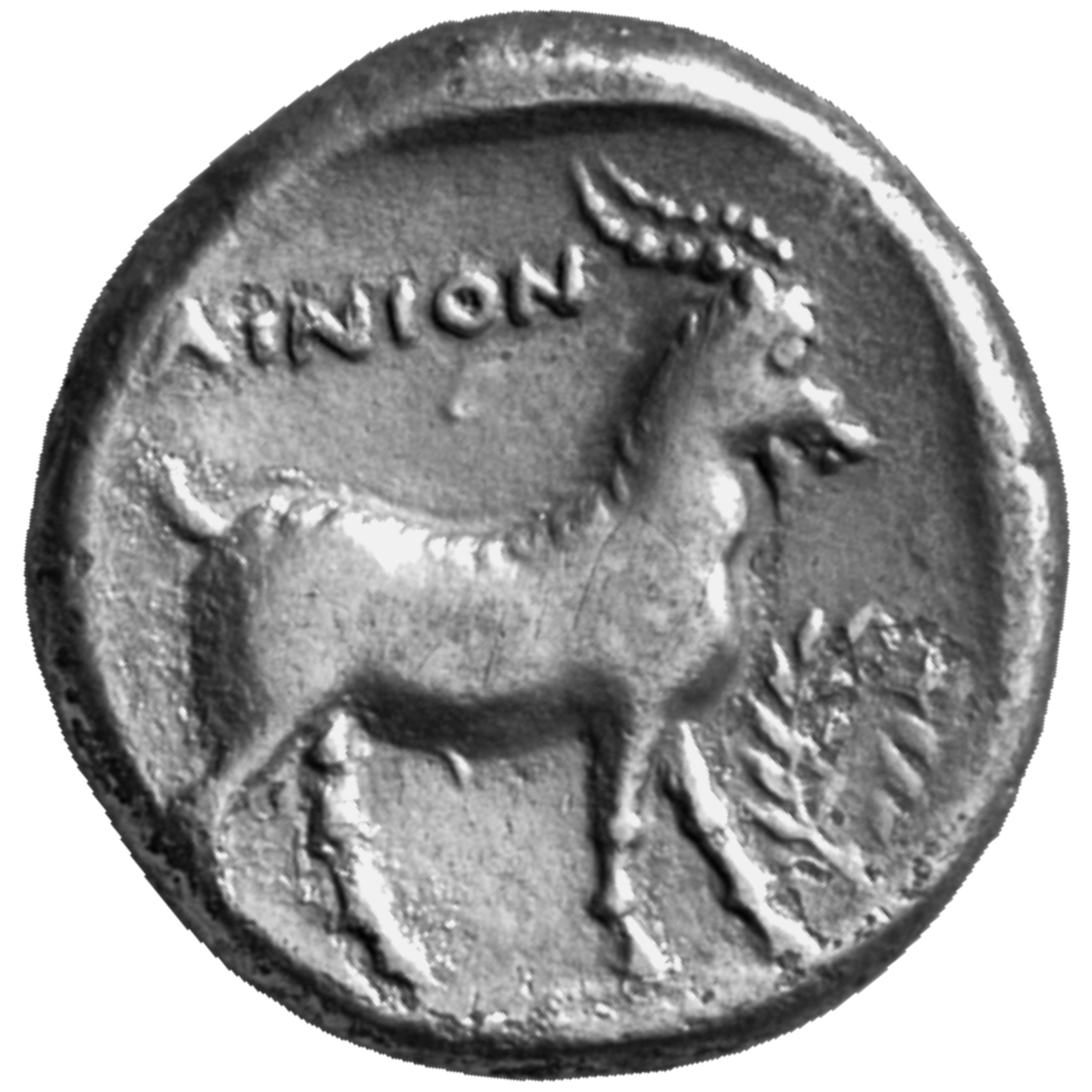CN Type cn.aenus.1_ed.106, реверс, cn-coins