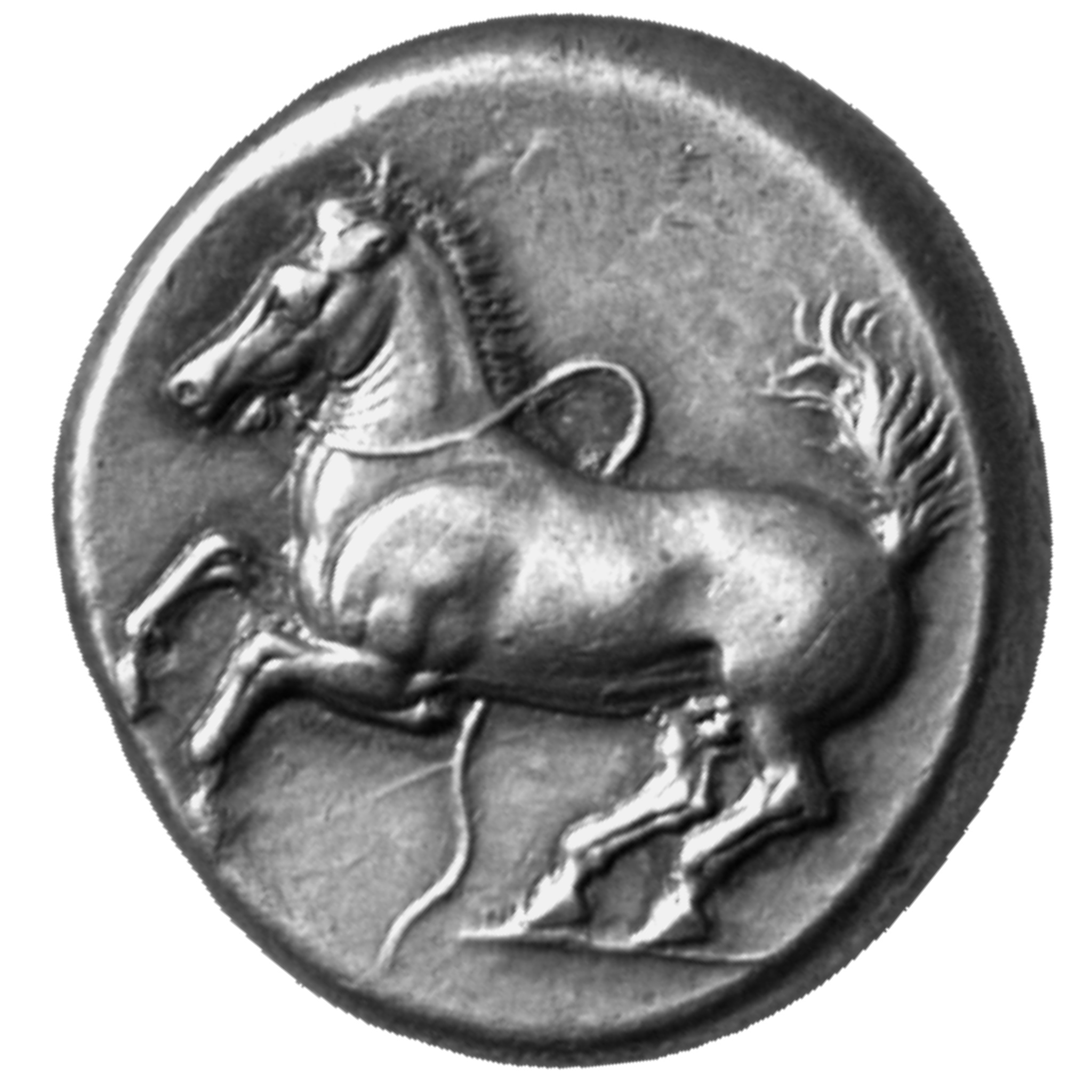 CN Type cn.maroneia.1_ed.143, аверс, cn-coins