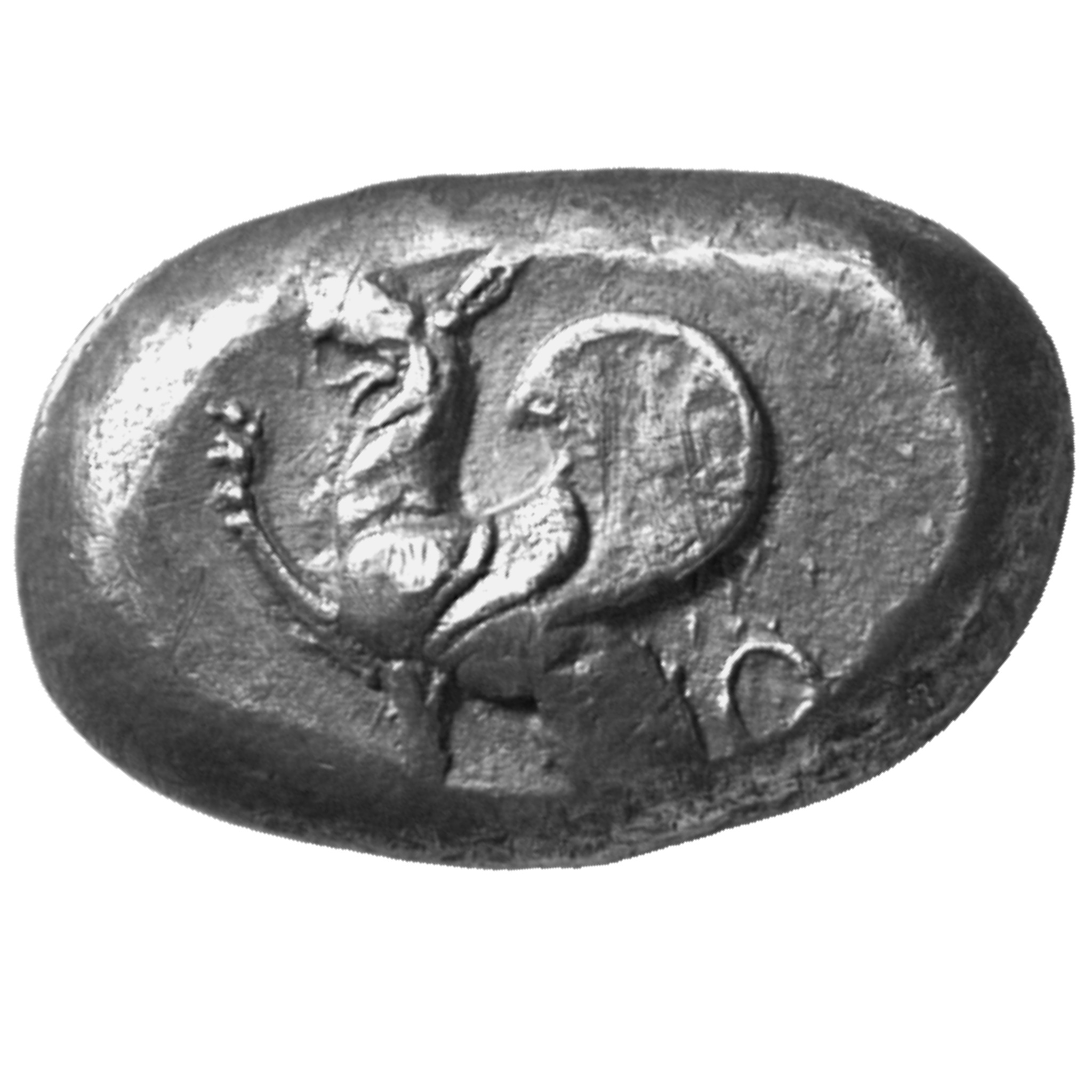CN Type cn.abdera_thrace.1_ed.10, аверс, cn-coins