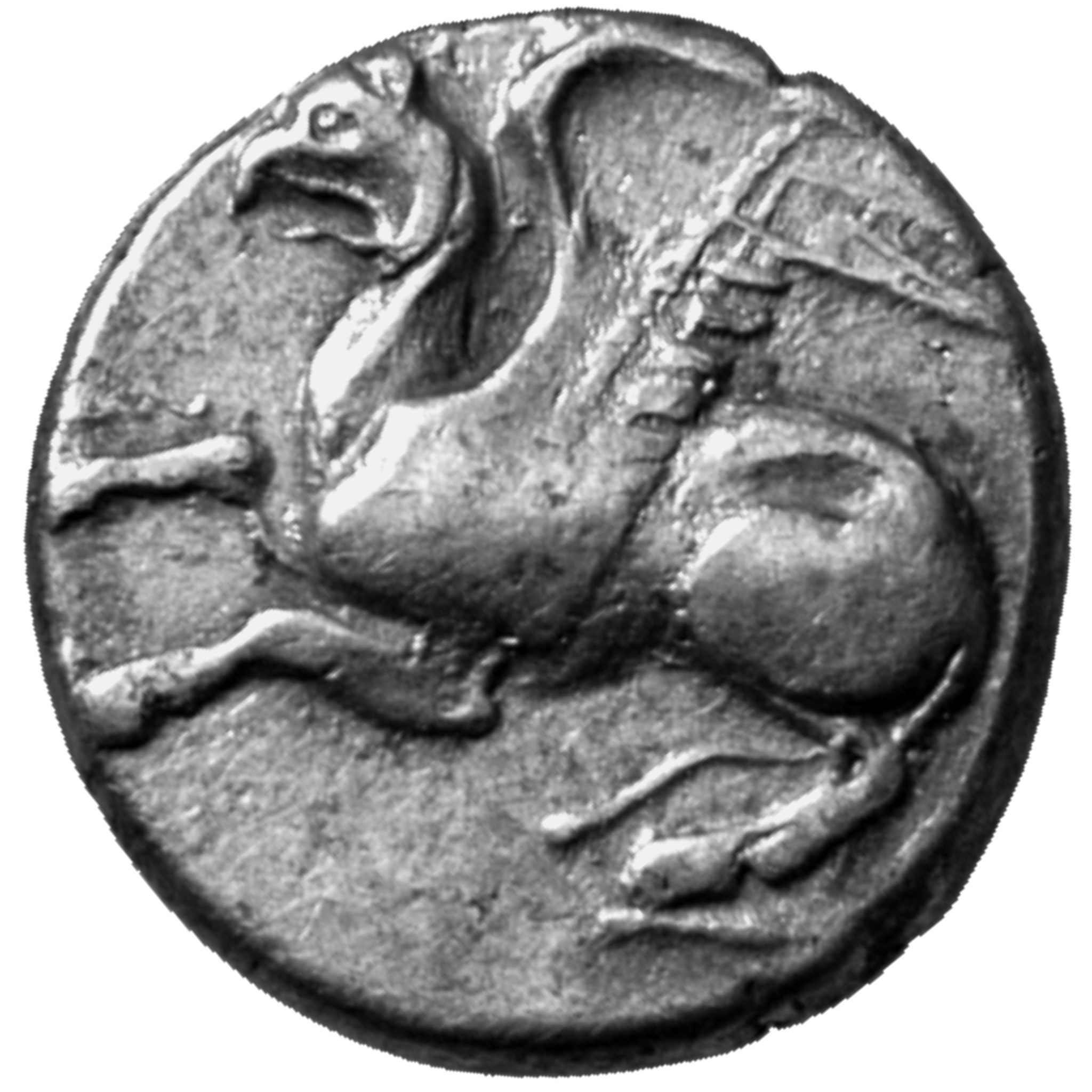 CN Type cn.abdera_thrace.1_ed.197, аверс, cn-coins
