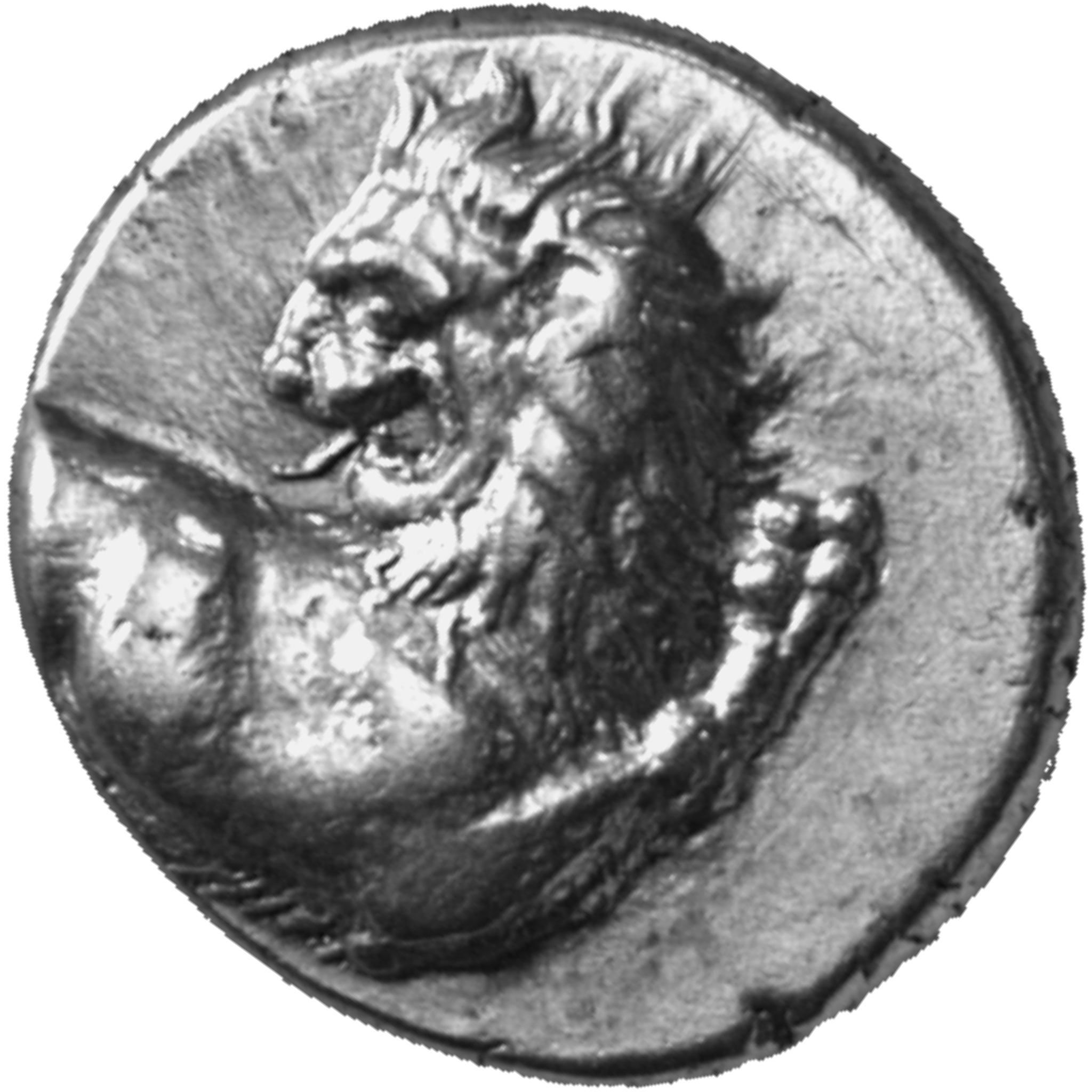 CN Type cn.chersonesus_thrace.1_ed.97, аверс, cn-coins