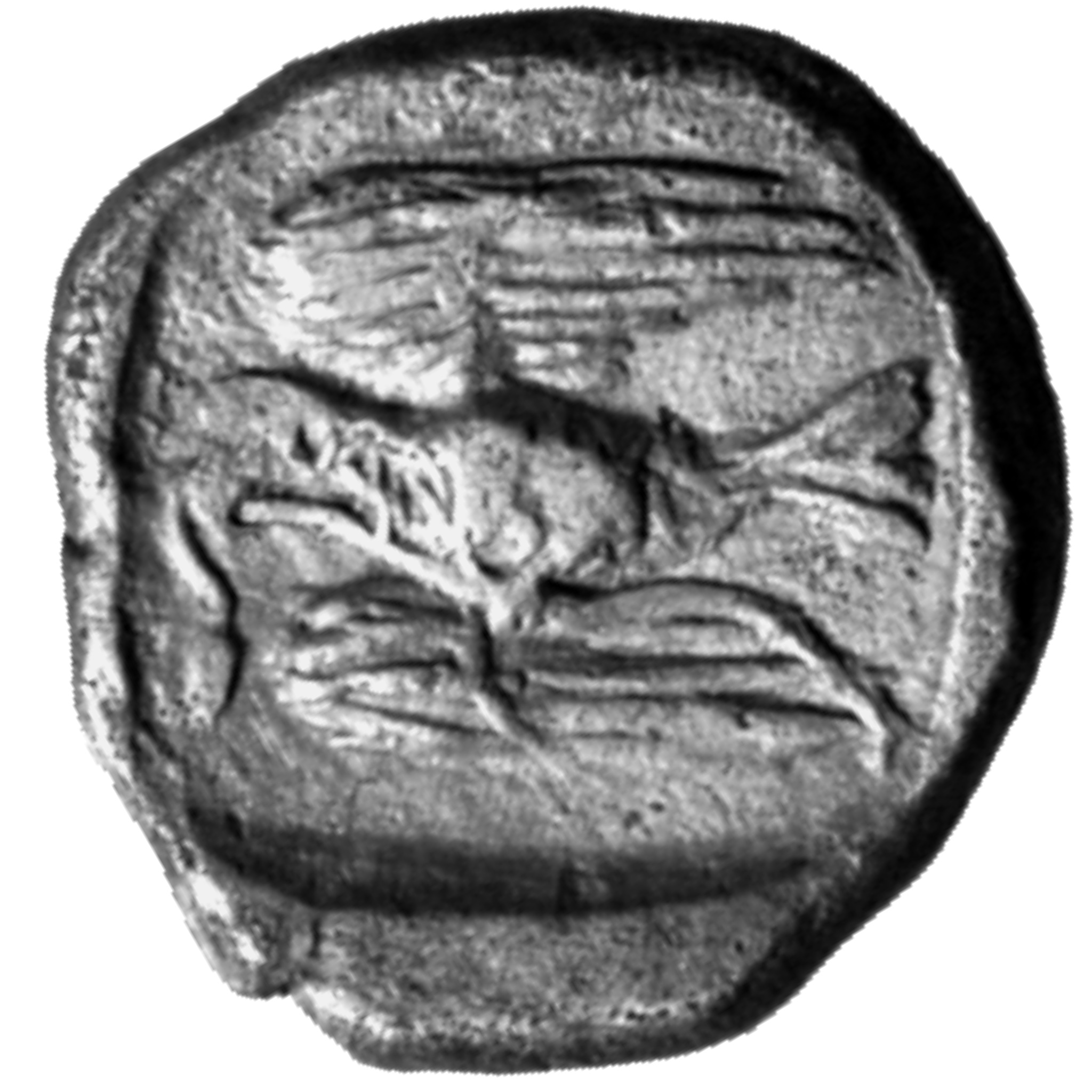 CN Type cn.sparadocus_odrysian_thrace.1_ed.4, реверс, cn-coins