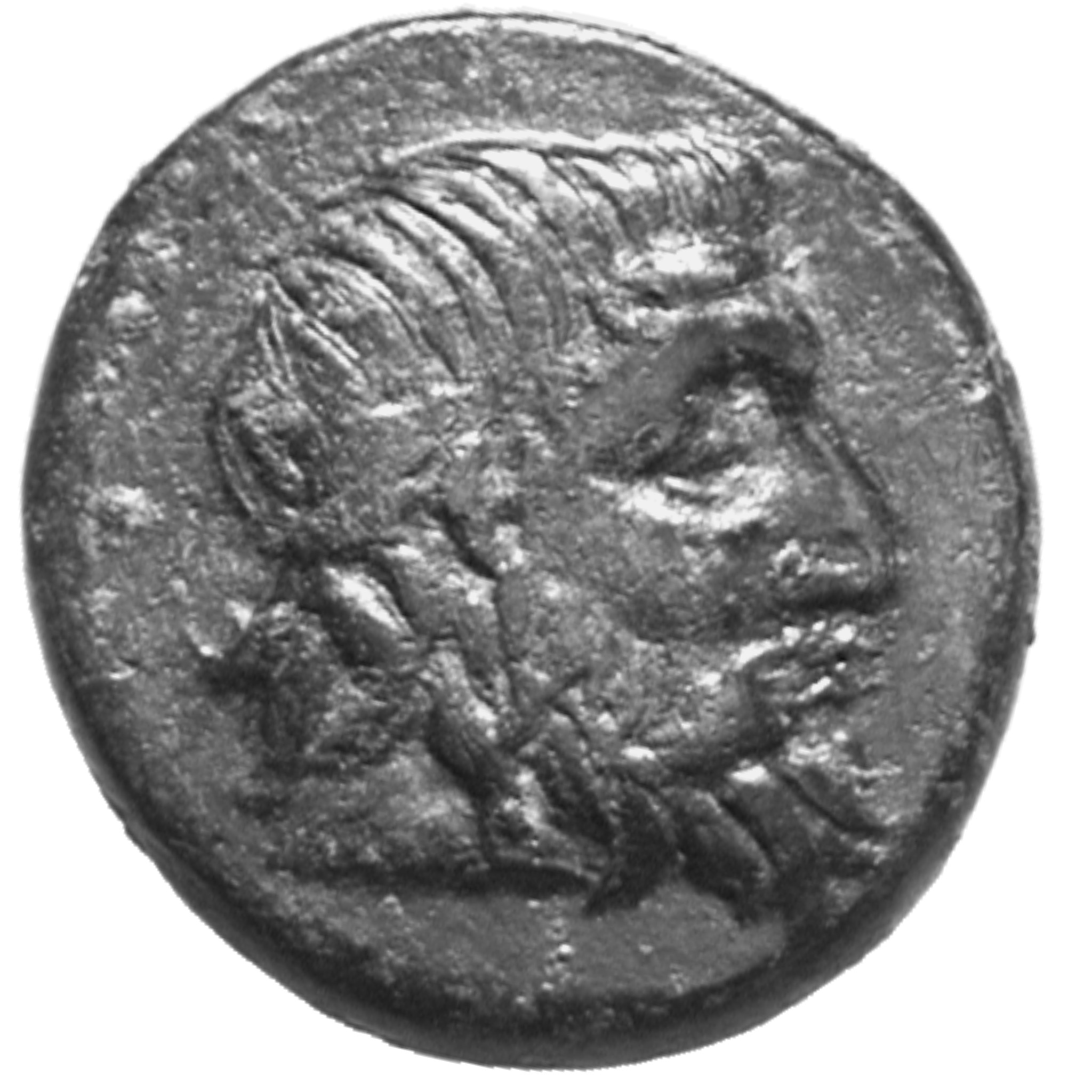 CN Type cn.seuthes_iii_odrysian_thrace.1_ed.1, аверс, cn-coins