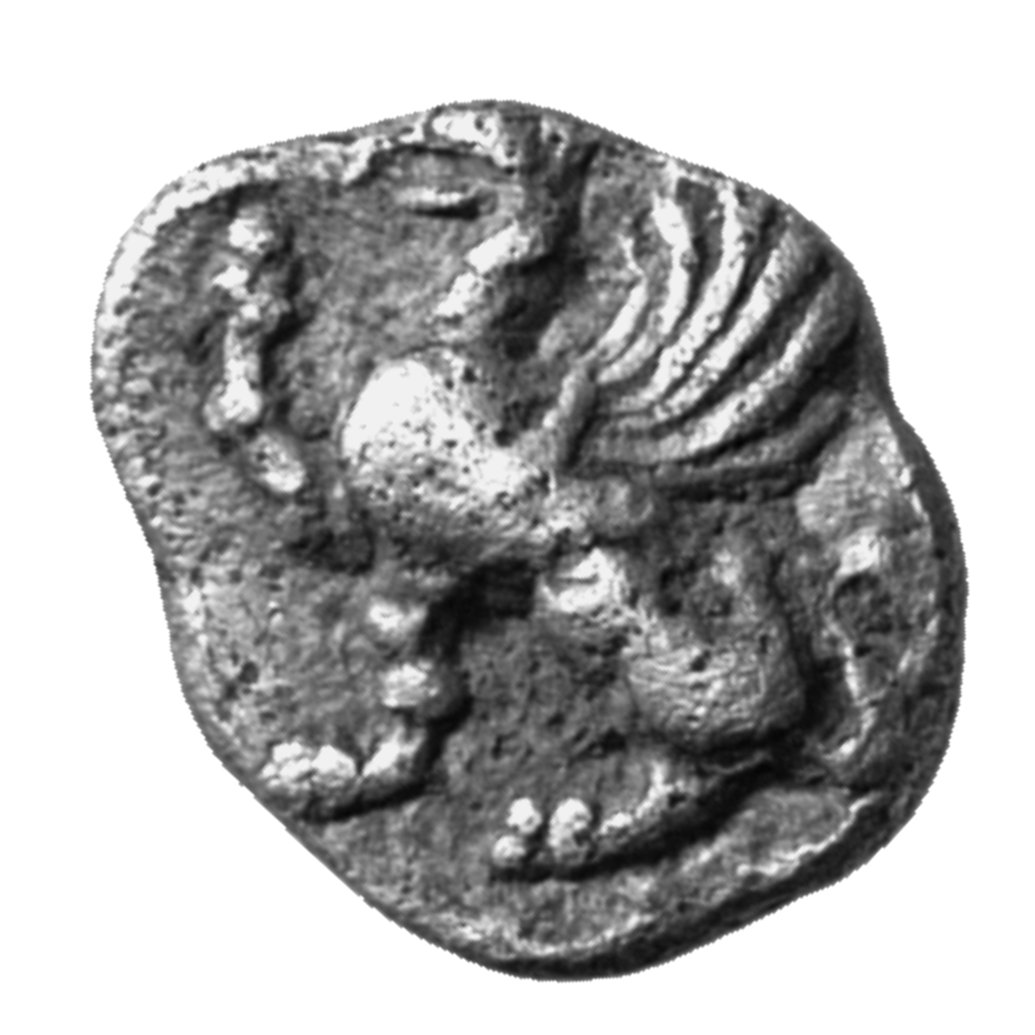 CN Type cn.abdera_thrace.1_ed.19, аверс, cn-coins