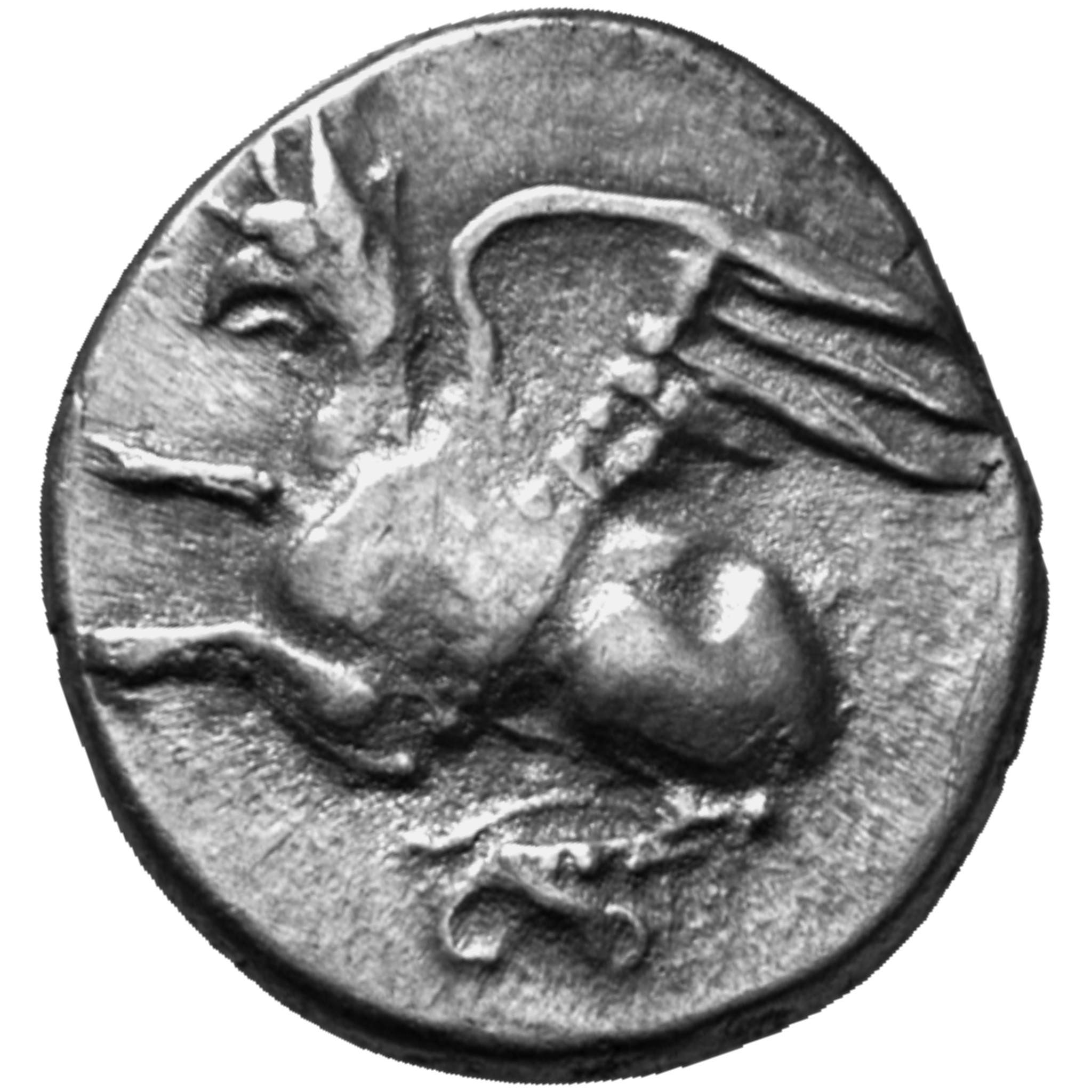 CN Type cn.abdera_thrace.1_ed.170, аверс, cn-coins