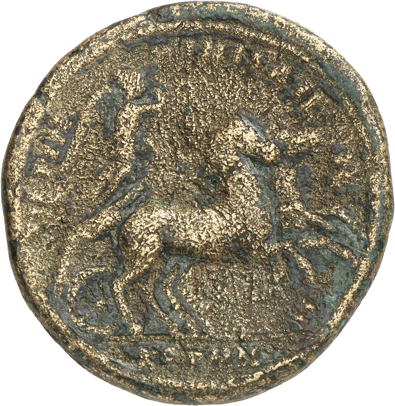 reverse CN Type cn.perinthus.1_ed.441